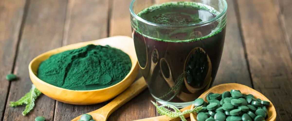 Spirulina: Bei Covid-19 eine sinnvolle Begleittherapie